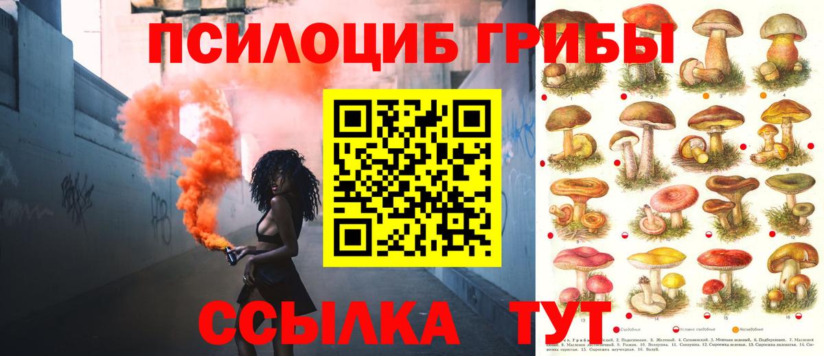 Псилоцибиновые грибы Magic Shrooms Альметьевск