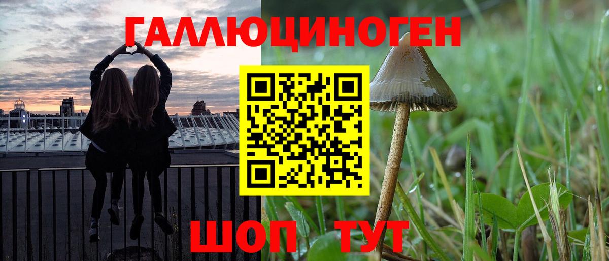 Альметьевск  Псилоцибиновые грибы Psilocybe  наркота  Вход с VPN 